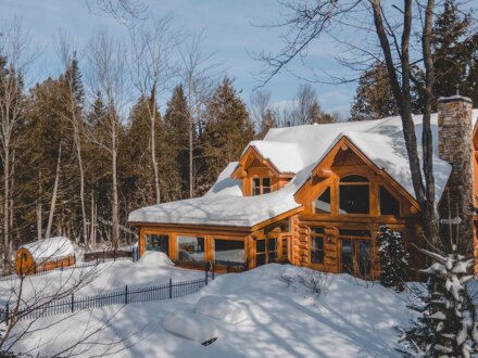 Chalet Silver Fox